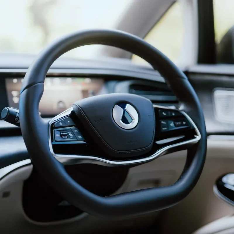 Denza steering wheel and dashboard screens