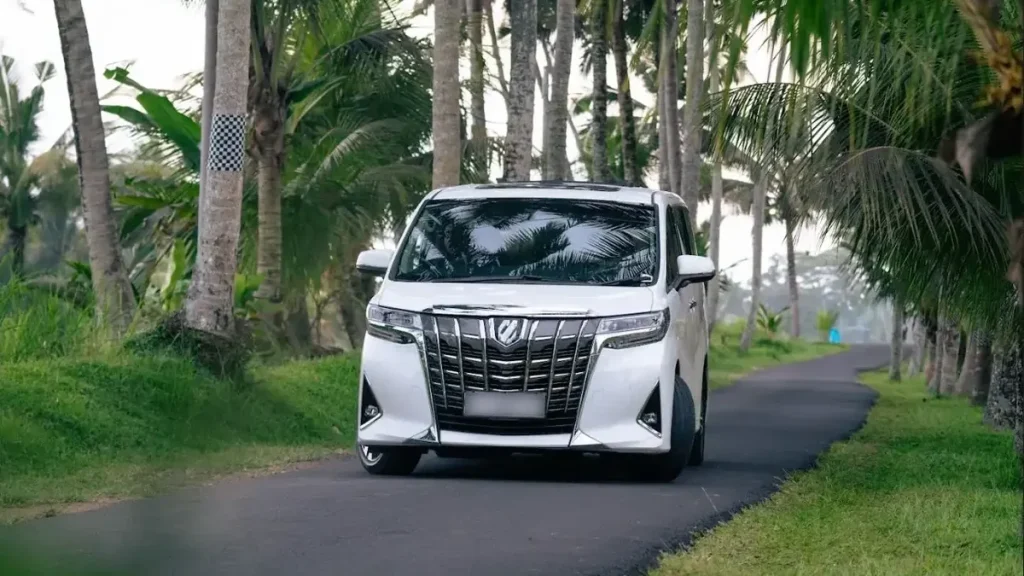 White Toyota Alphard on a palm-lined lane