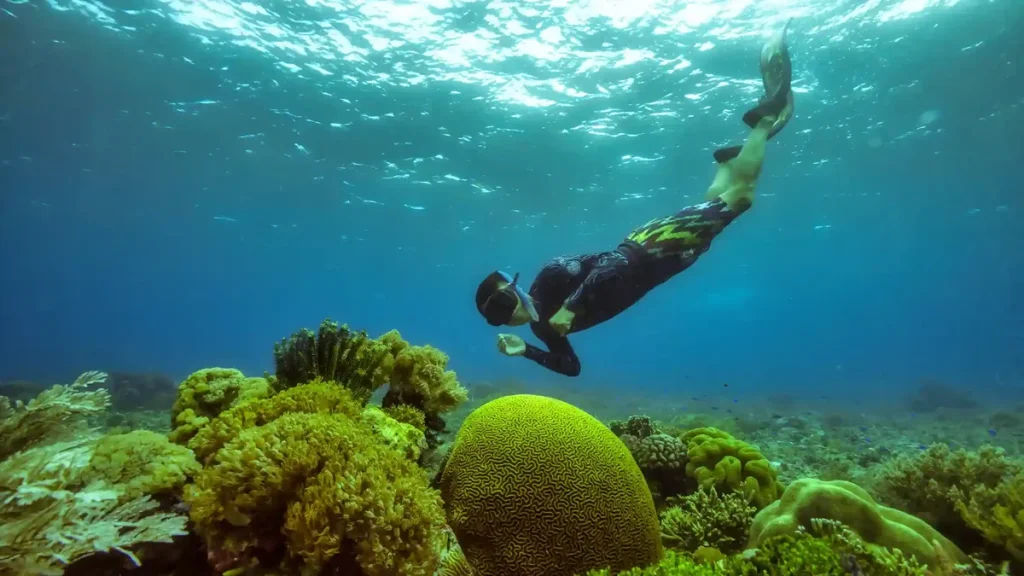 Snorkeller swimming over a coral reef